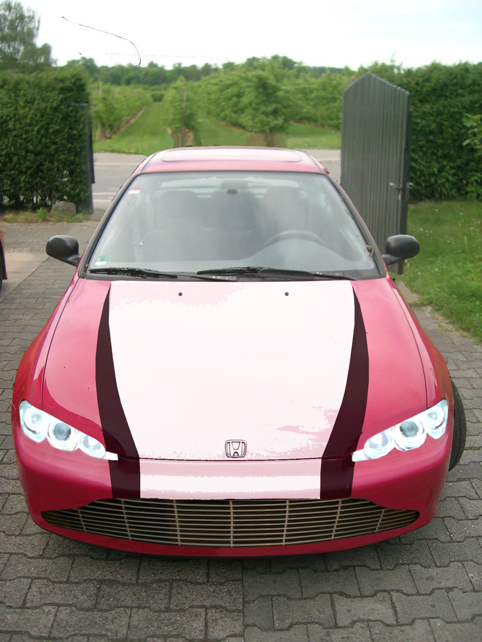 vorne - Kopie.jpg