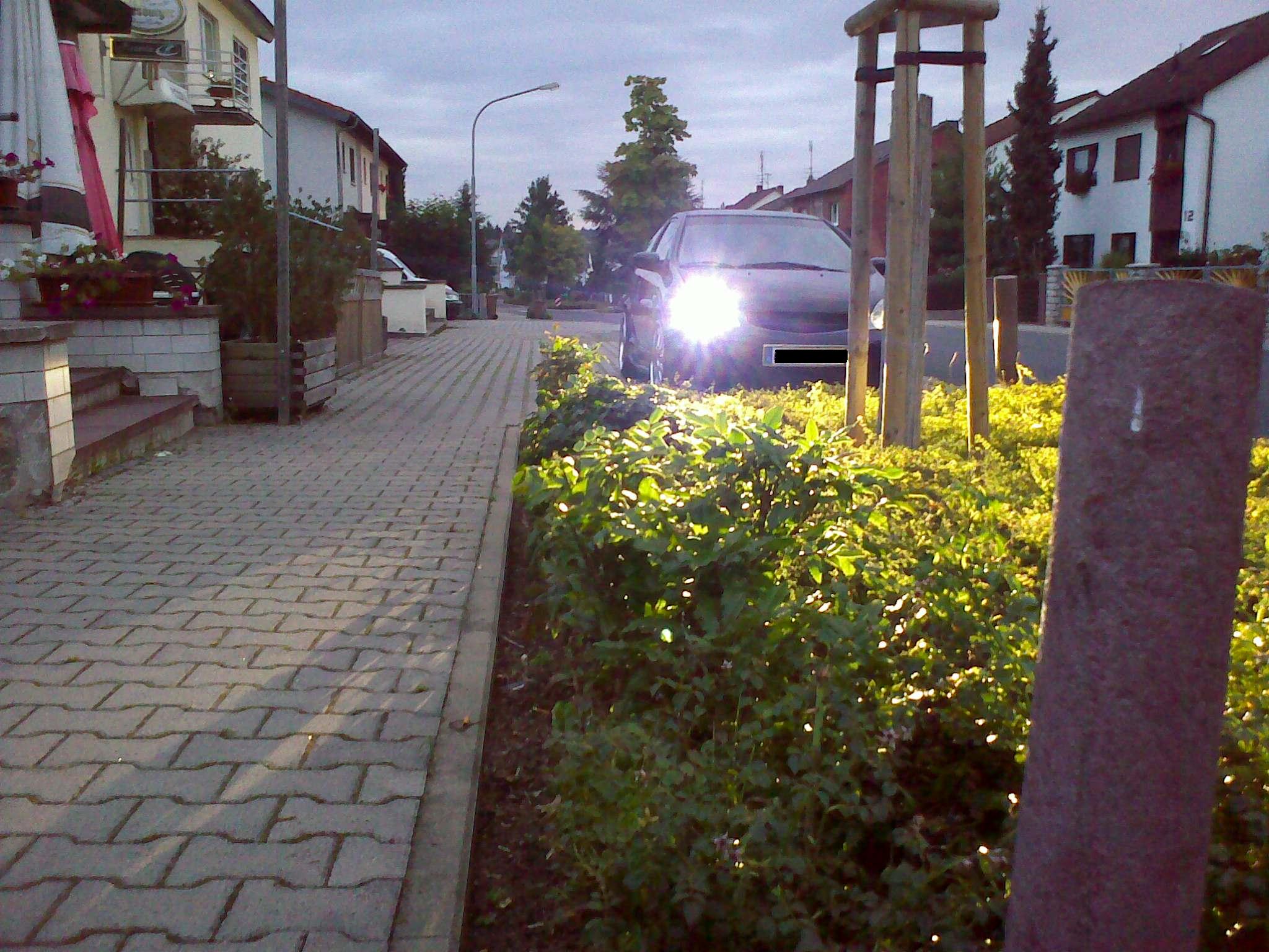 xenon licht civic.jpg