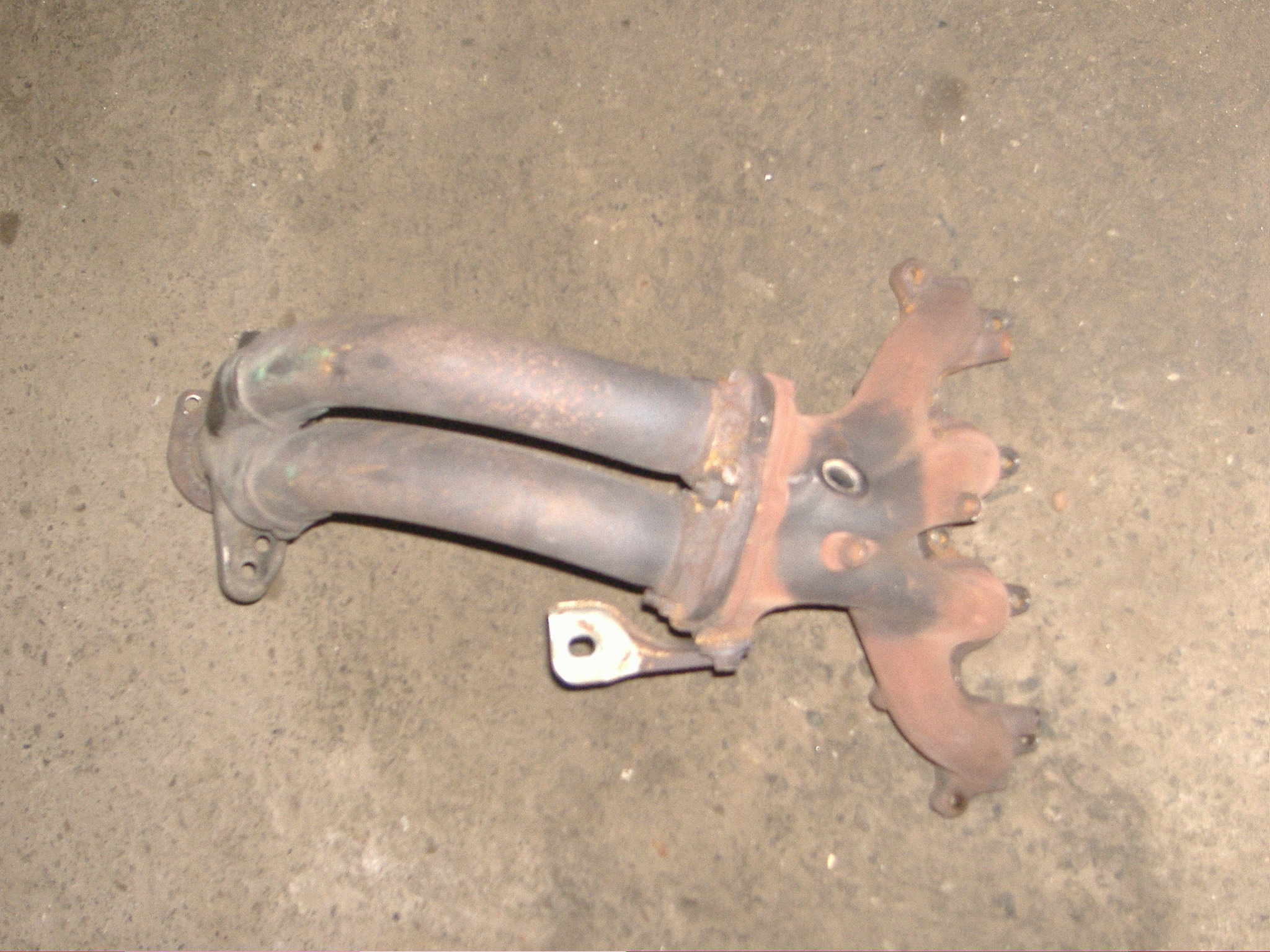 EG5 OEM Krümmer (4).JPG
