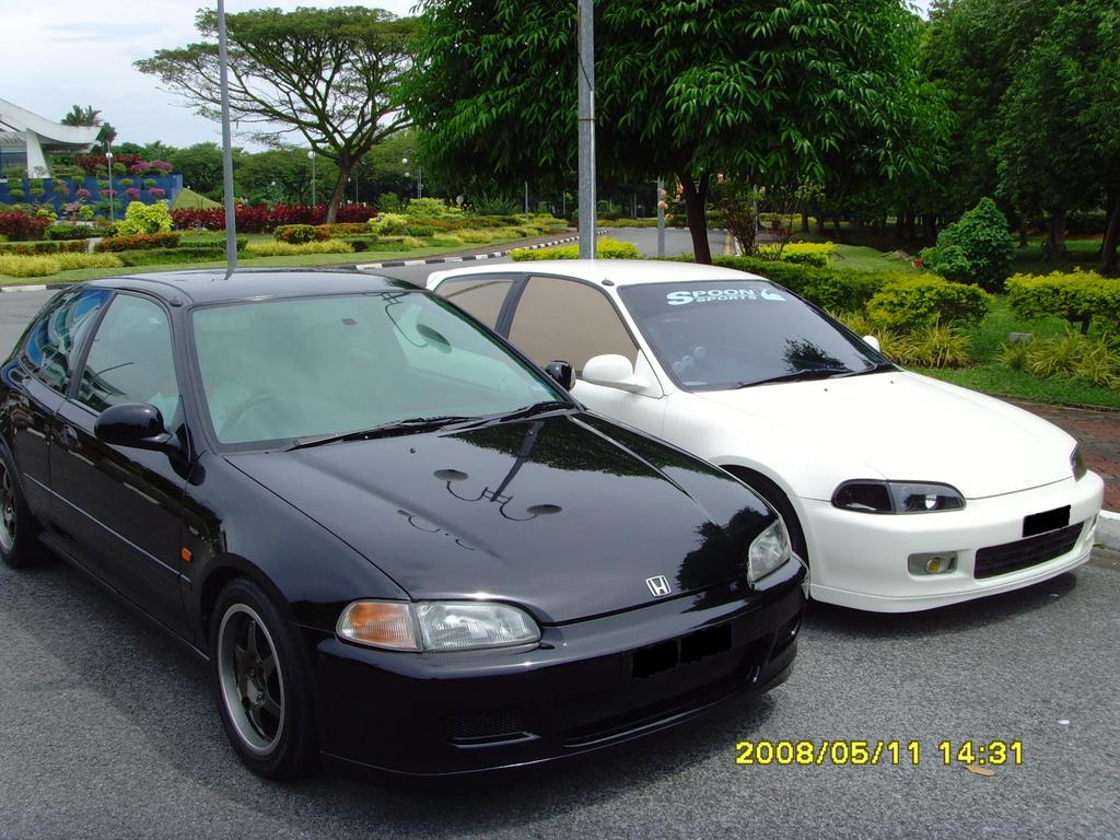 eg65bf9.jpg