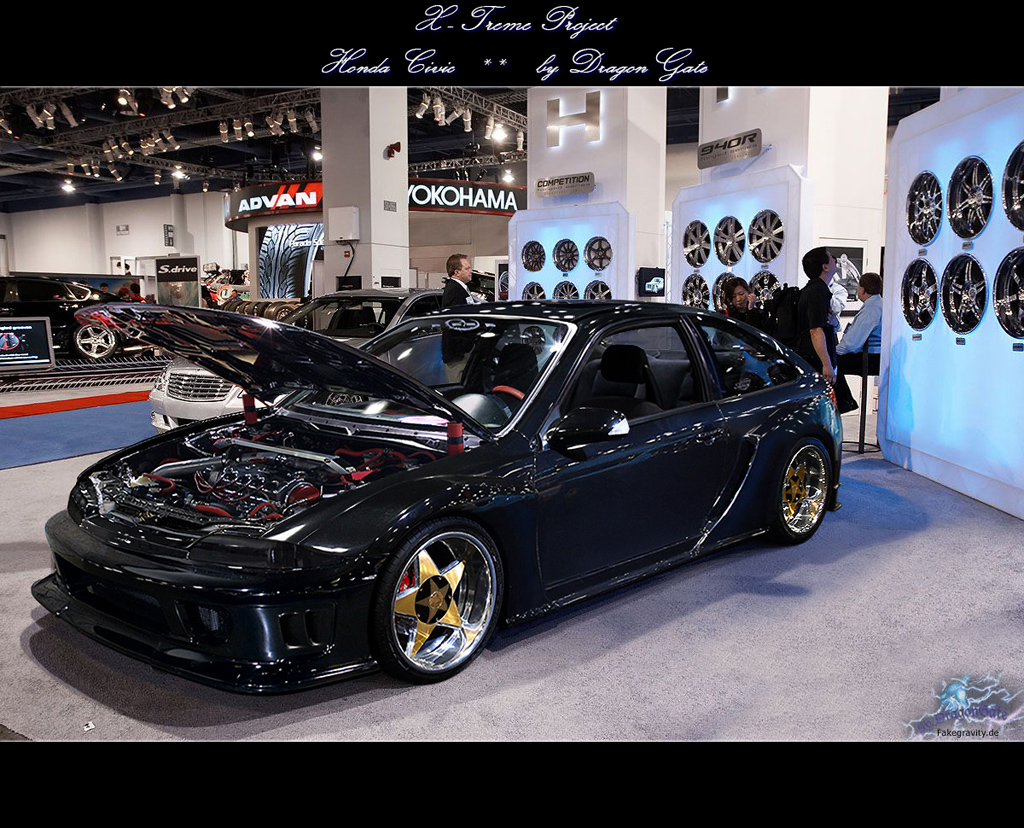 fake_dragongate_honda_civic_fake_big.jpg