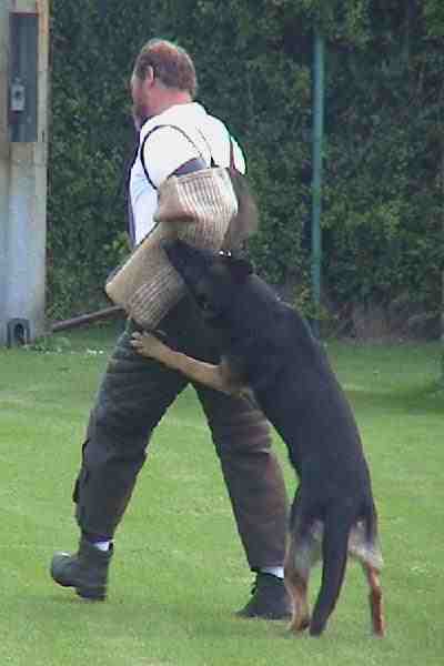 Lisa beim Hundesport.jpg