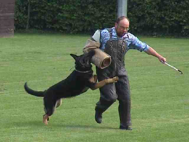 So'n Arm is was feines!.jpg