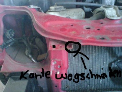 bild1_190.jpg