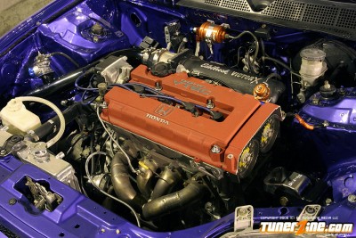 IMG_7250-(1).jpg