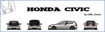 mein civic.jpg