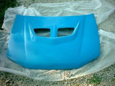 motorhaube1wx4.jpg