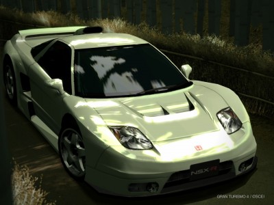 NSX- LM Race Car.JPG