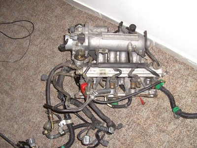 PICT2614.JPG
