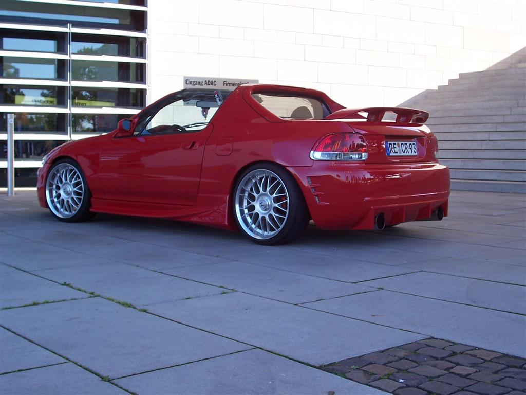 100_1312_large.jpg