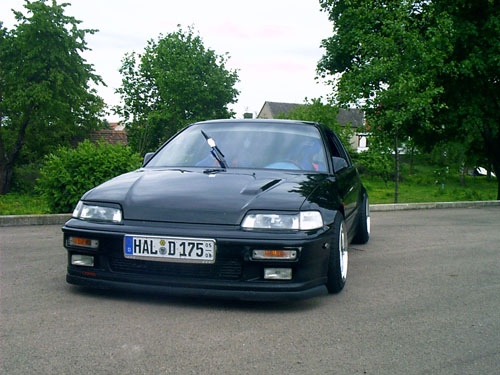 dom02[1].jpg