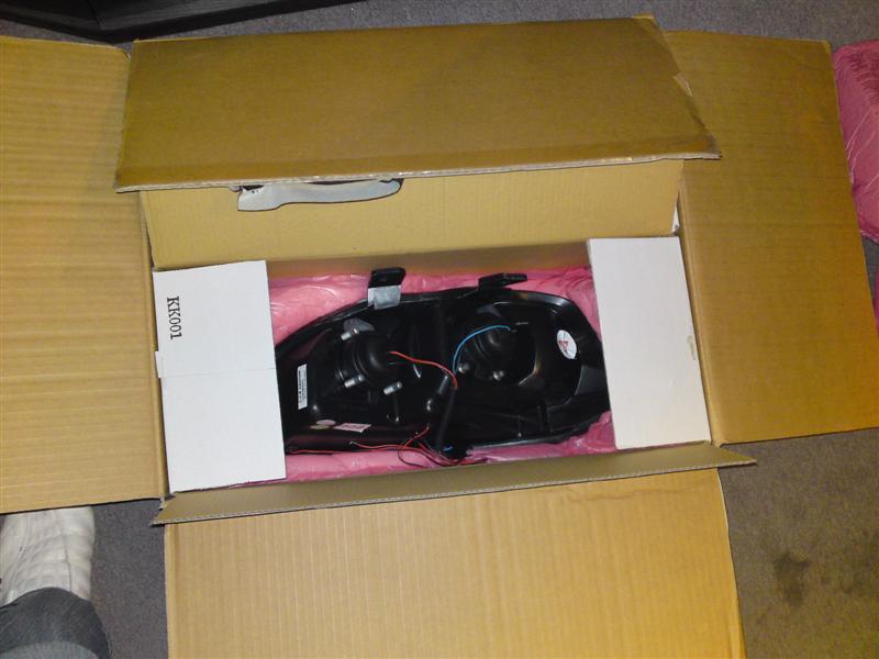 DSC00194 (Medium).JPG