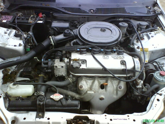 DSC00921.JPG