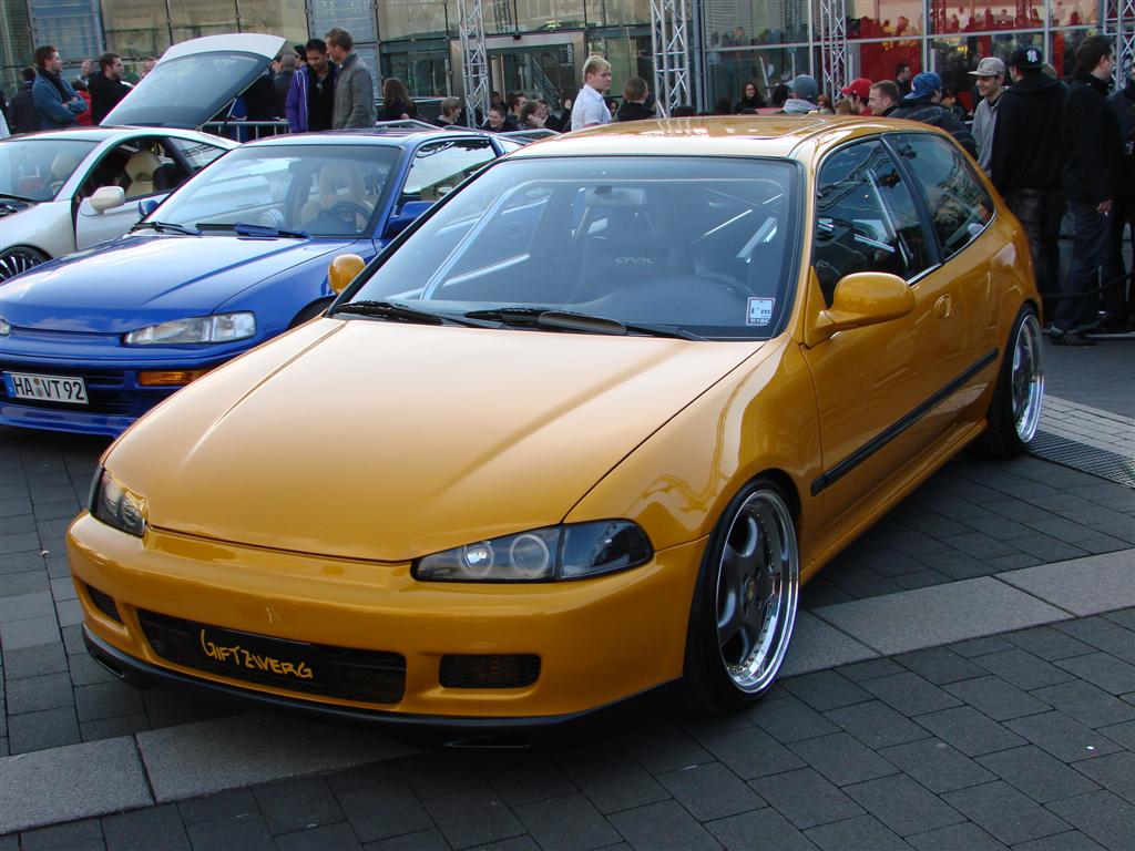 DSC03468 (Large).JPG