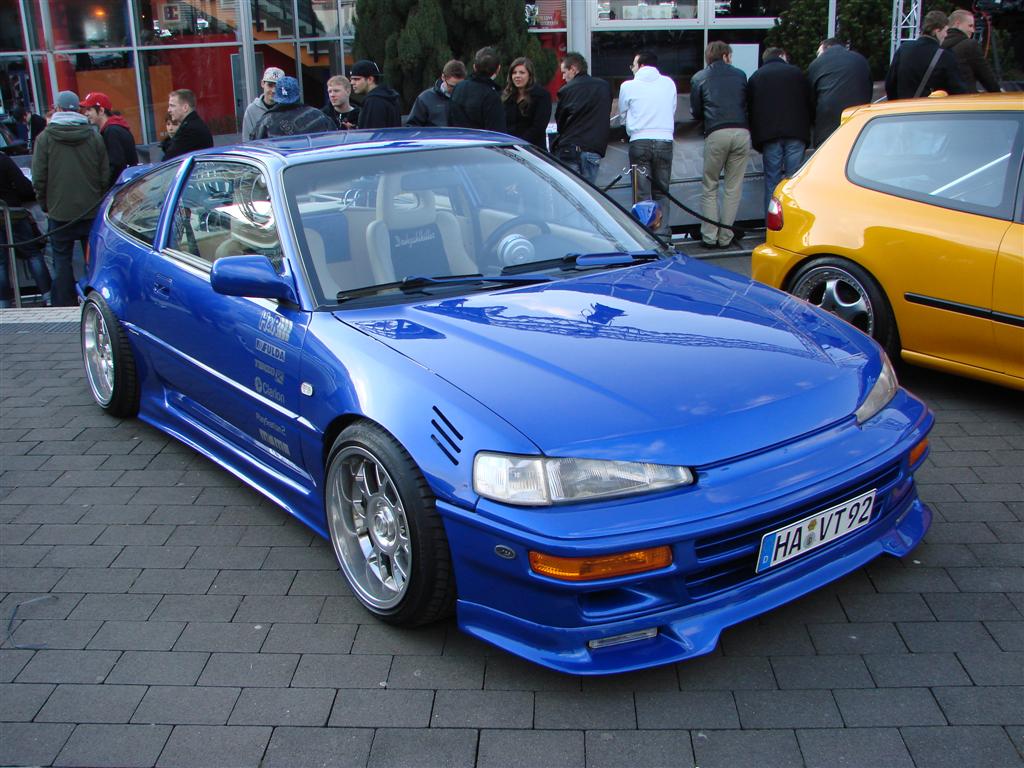 DSC03469 (Large).JPG