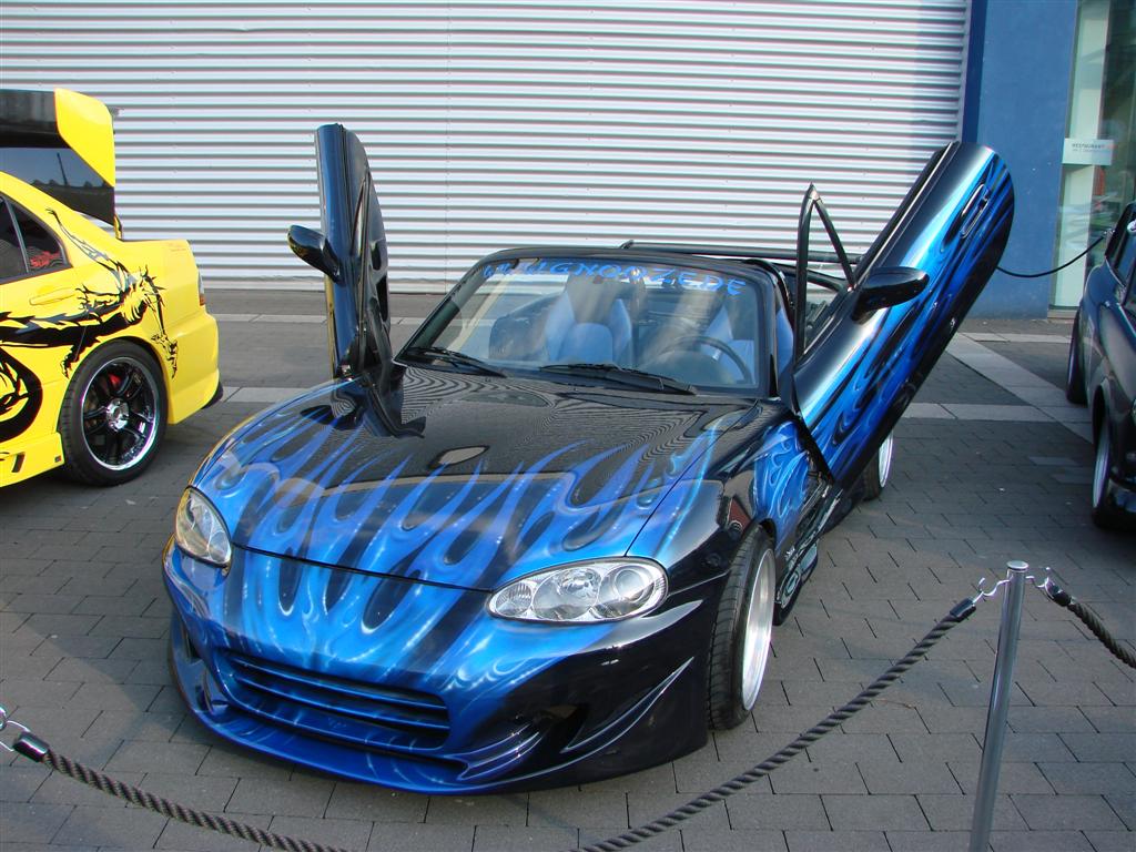 DSC03472 (Large).JPG