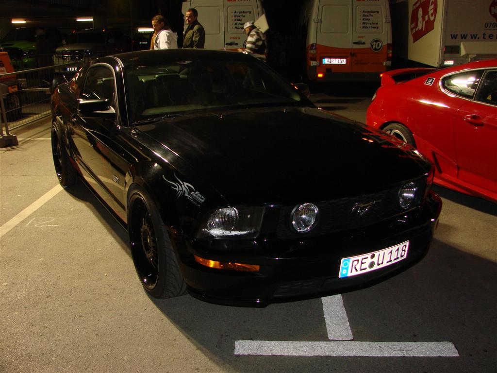 DSC03515 (Large).JPG