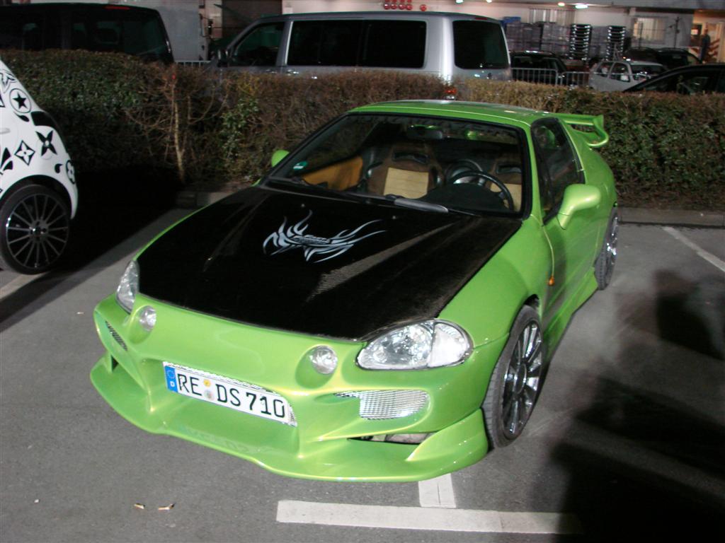 DSC03519 (Large).JPG