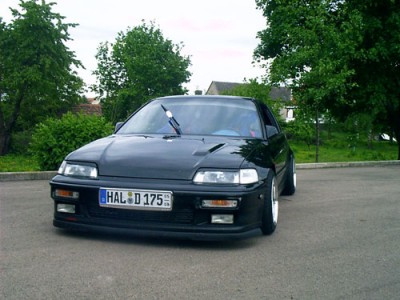 dom02[1].jpg