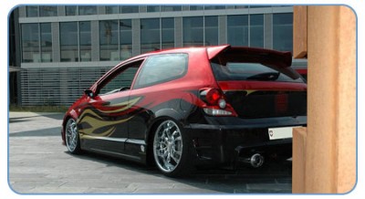 Honda Civic Type R tuning (1).jpg