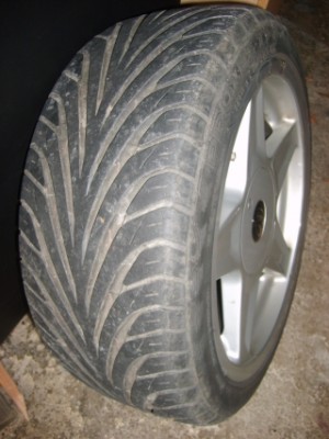 S6000155.JPG