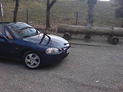 c557_19.JPG
