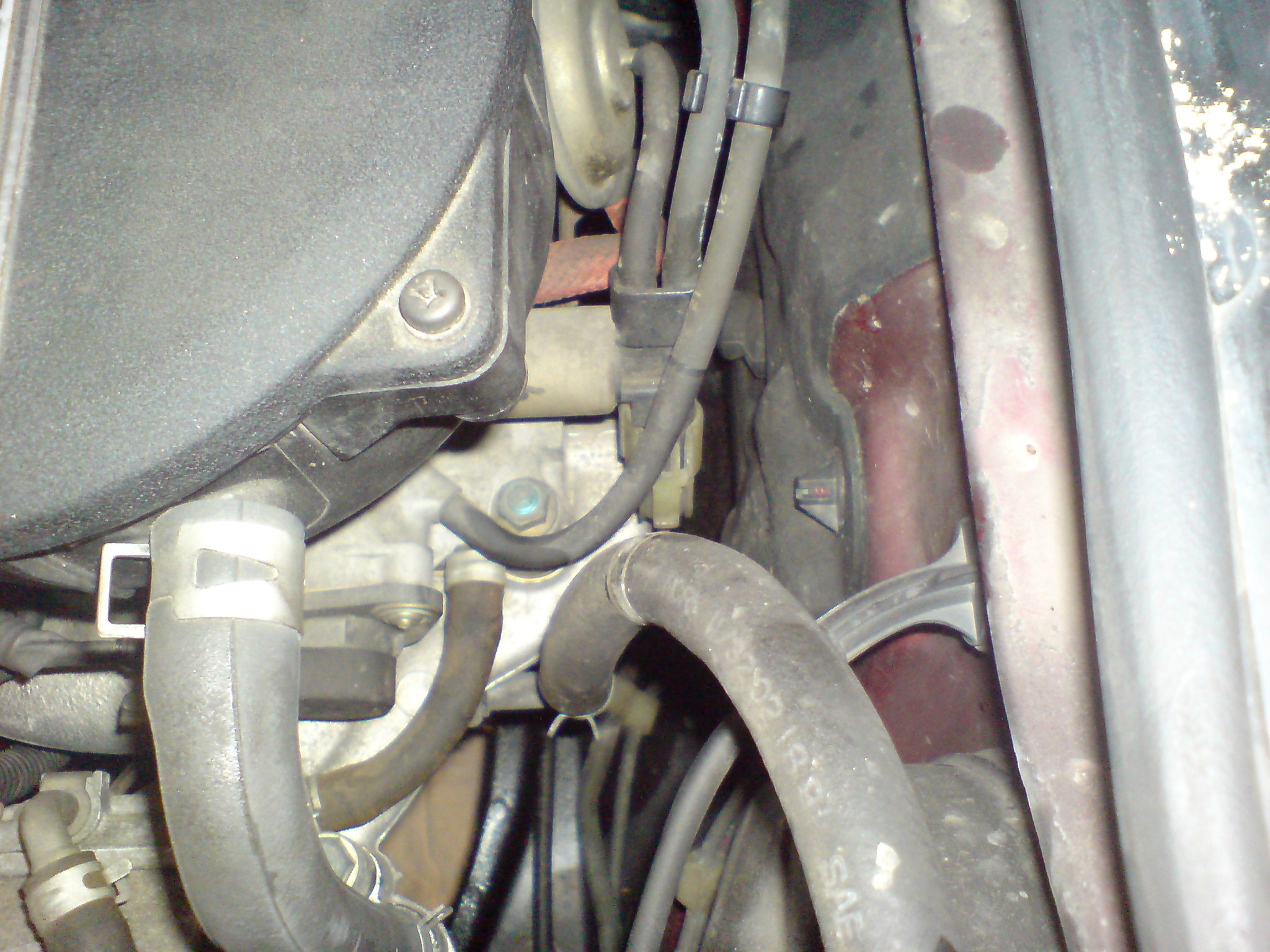 DSC00001.JPG