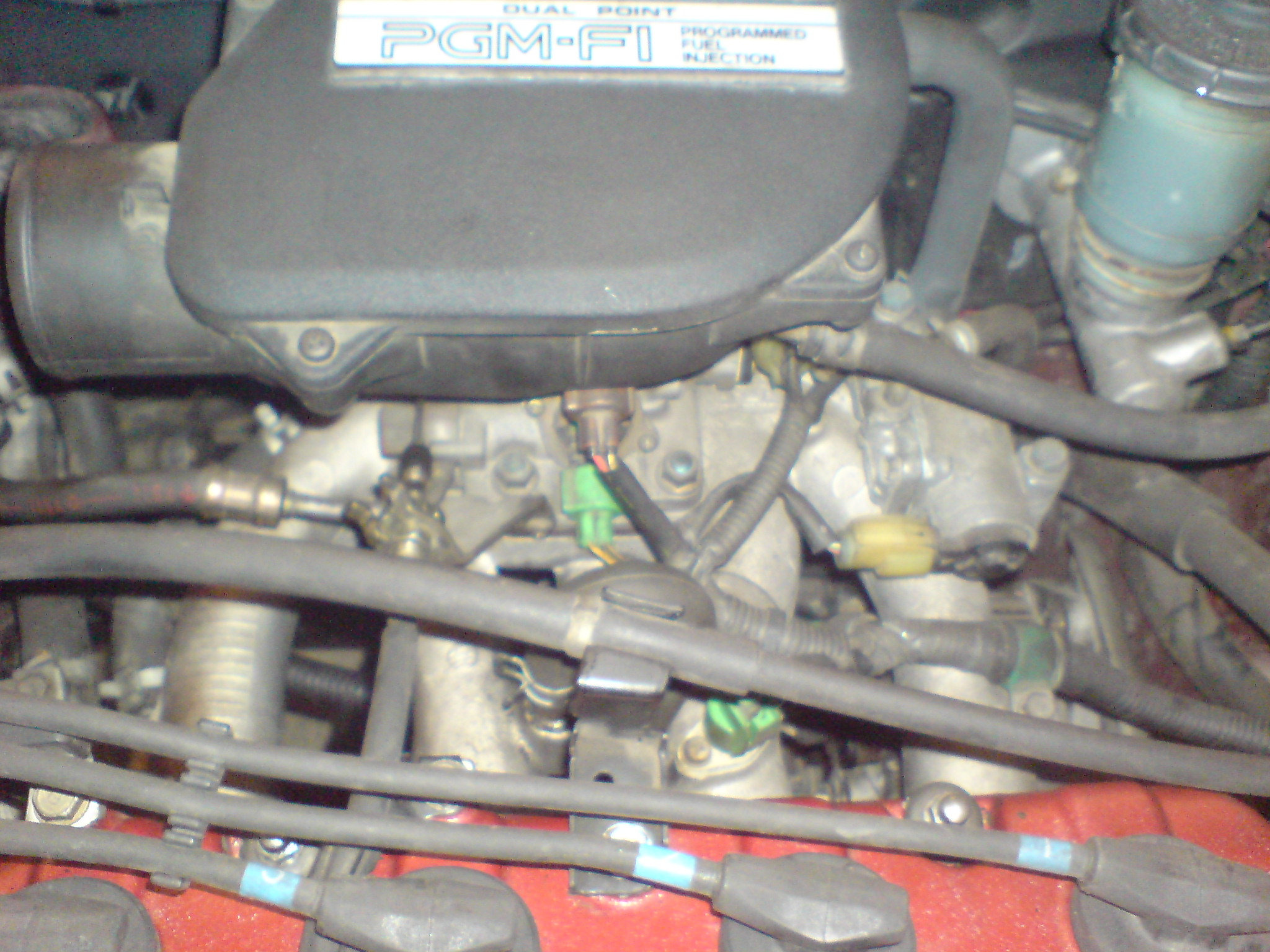 DSC00004.JPG