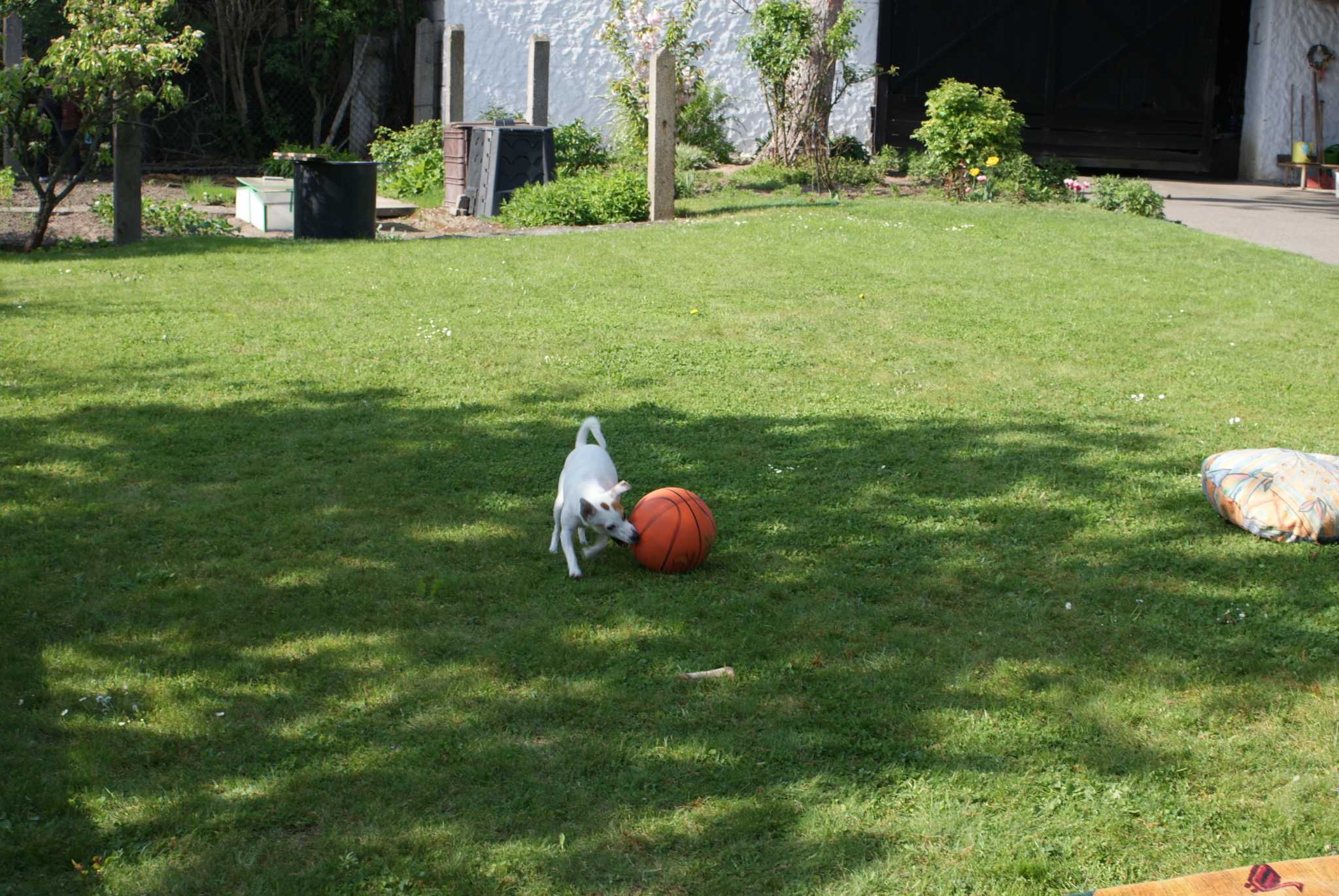 DSC00312.JPG
