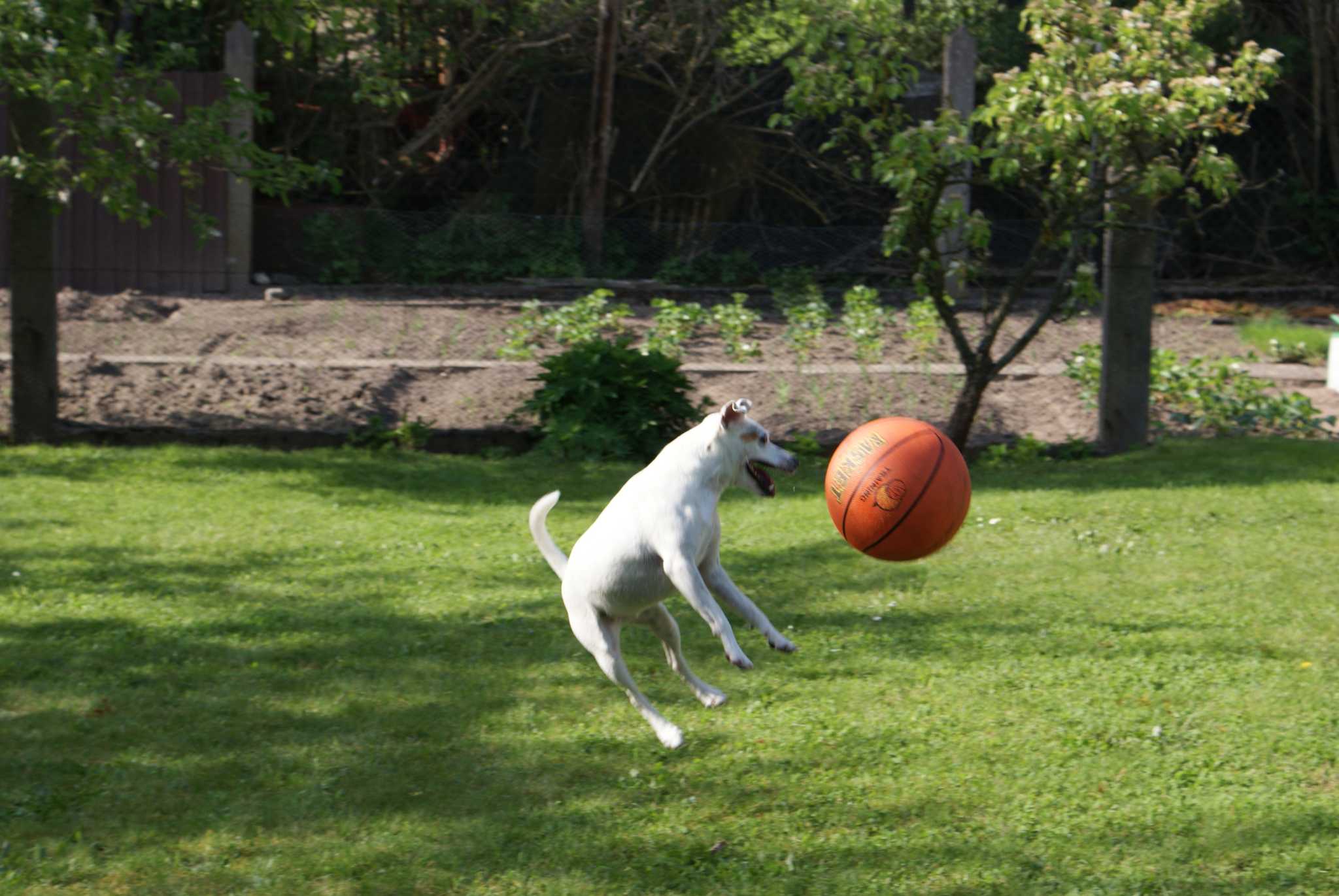 DSC00317.JPG