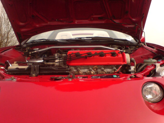 DSC00529.JPG