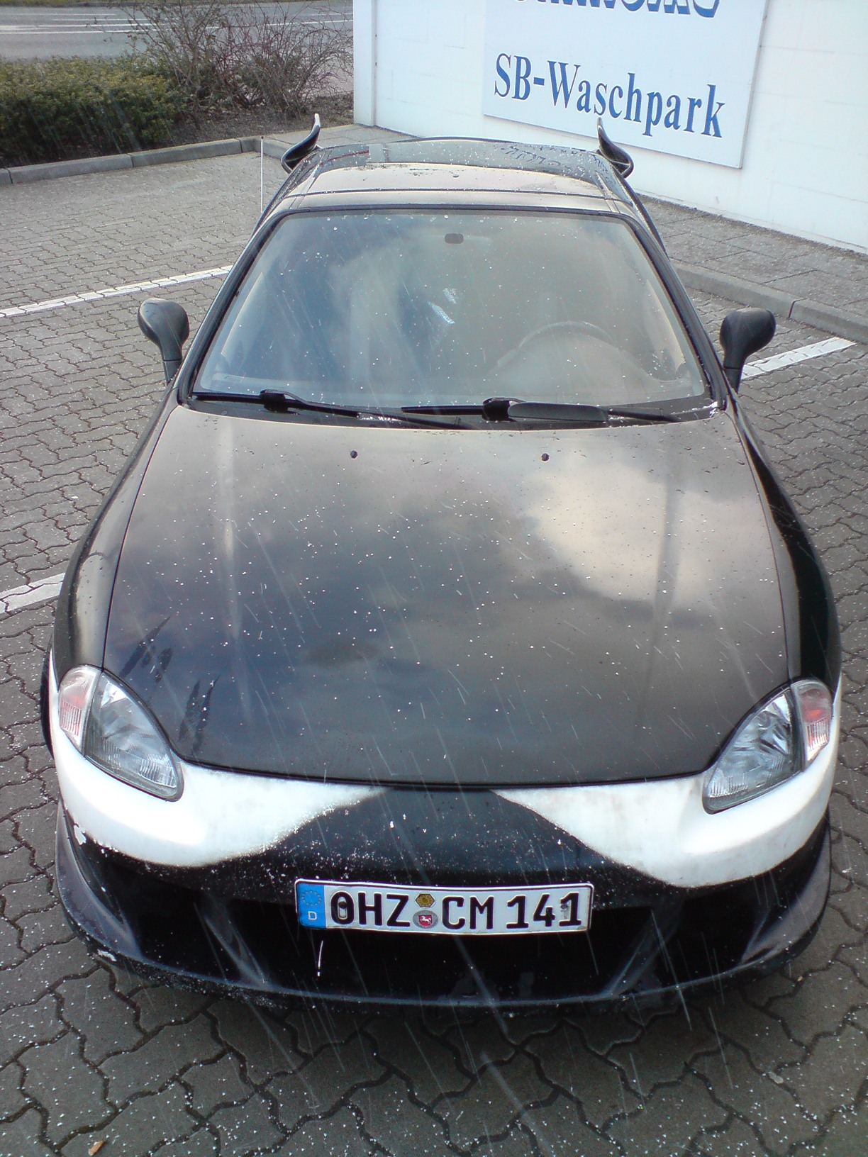 DSC01951.JPG