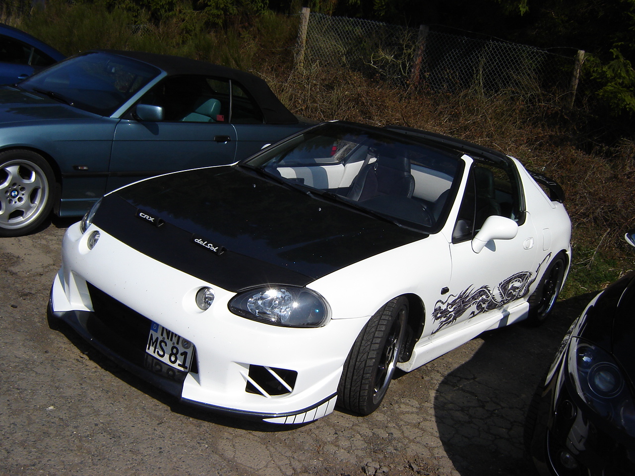 DSC05523.JPG