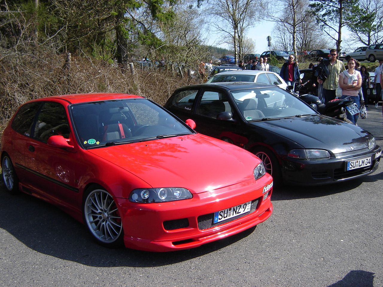 DSC05533.JPG