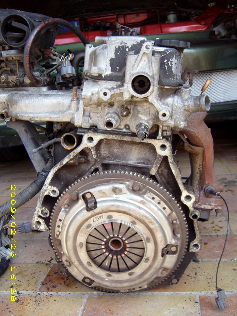 DSCI0581.JPG