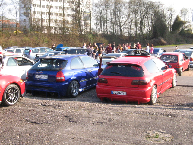 IMG_3762.JPG