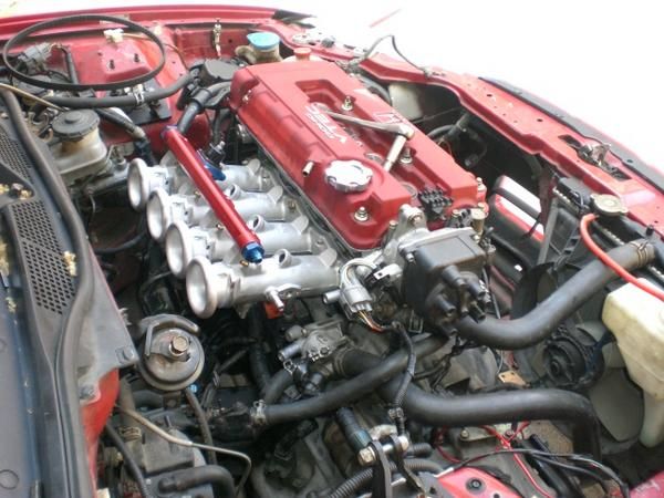 o_117694[1].jpg