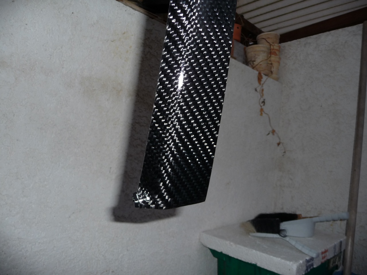 P1020187.JPG