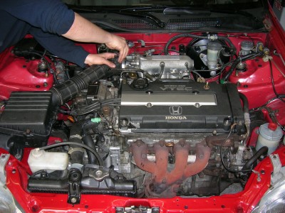 DSCN1356.jpg