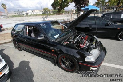 IMG_2235_Custom_sized.jpg