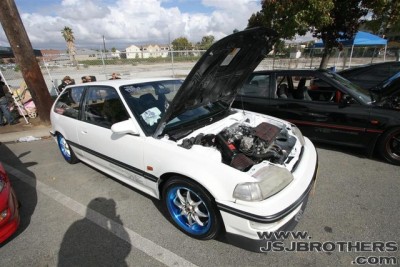 IMG_2236_Custom_sized.jpg
