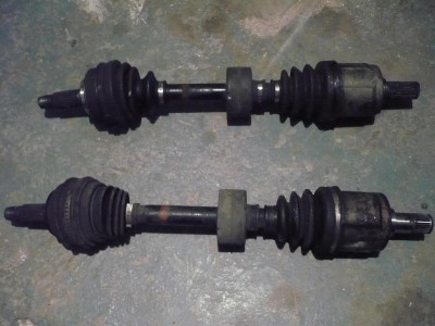 P1000702-.JPG
