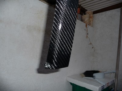 P1020187.JPG
