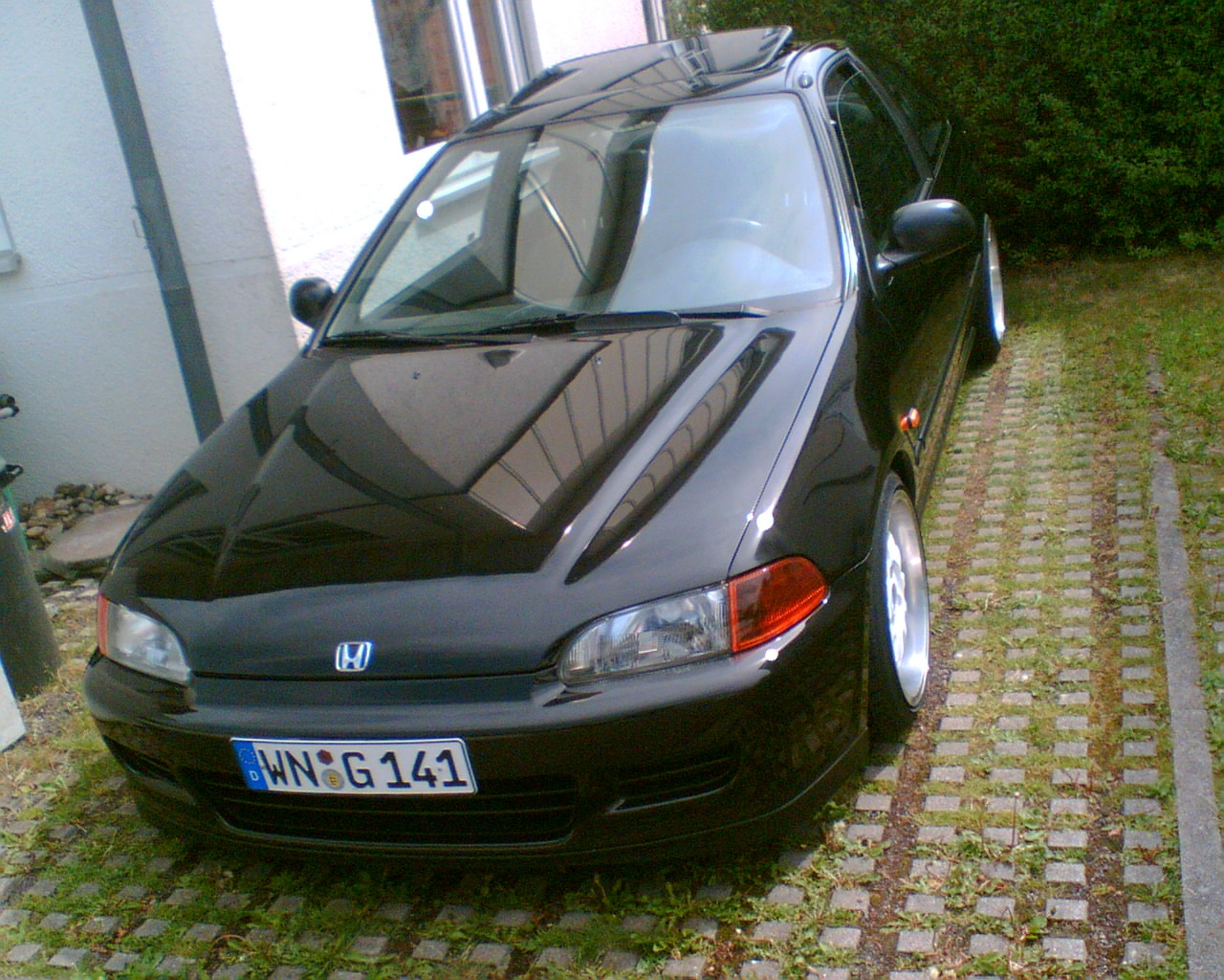 Bild2.JPG