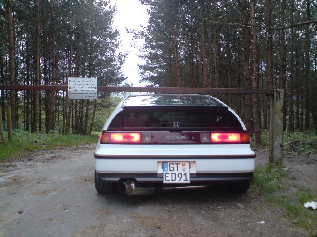 DSC01454.JPG