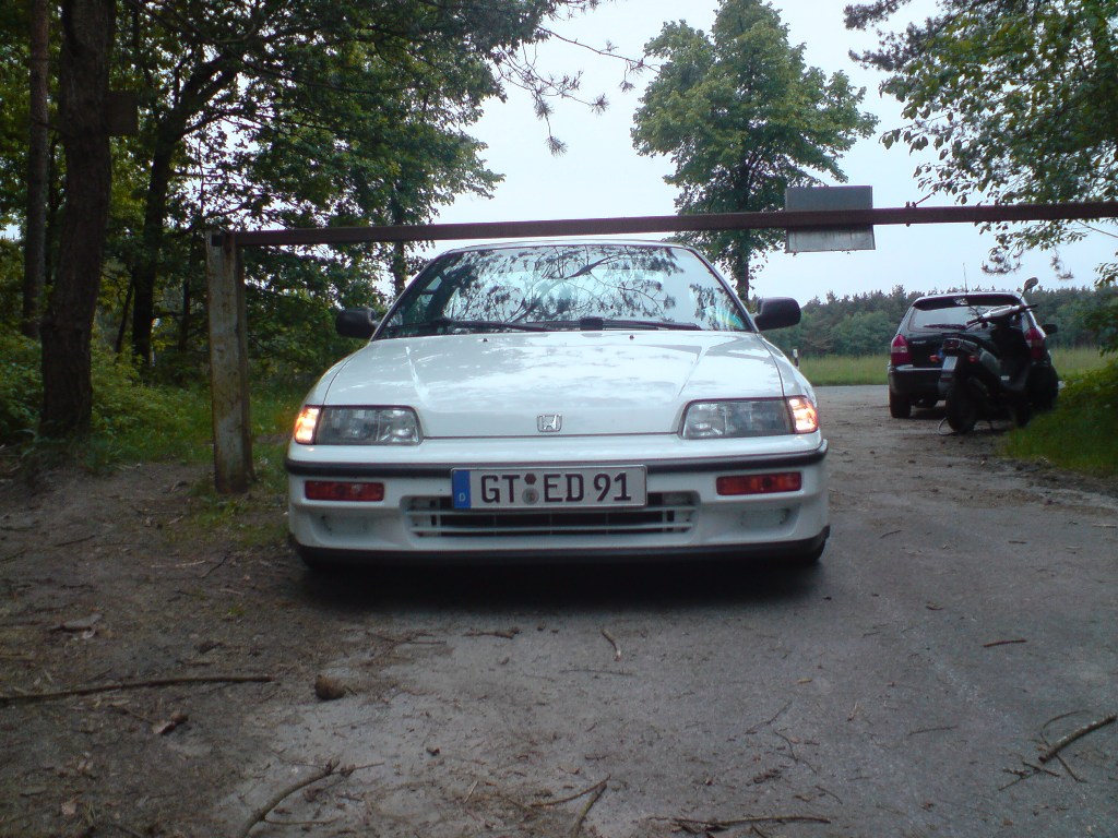 DSC01455.JPG