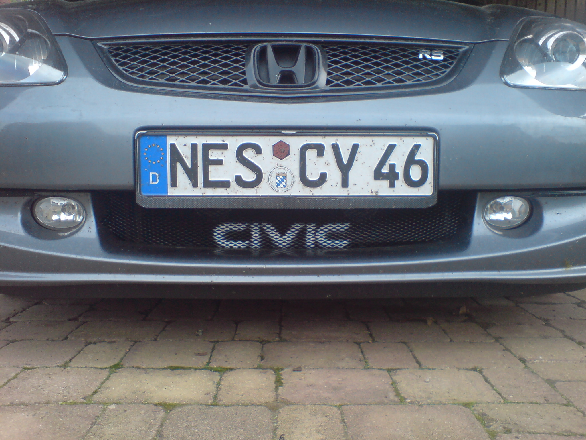 DSC01617.JPG