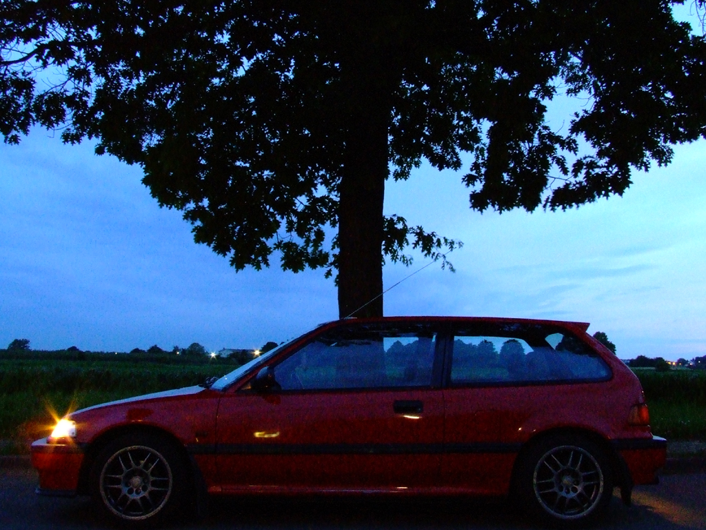 DSCF4537.JPG