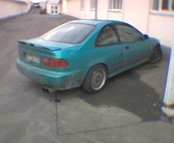 Dunja 003.jpg