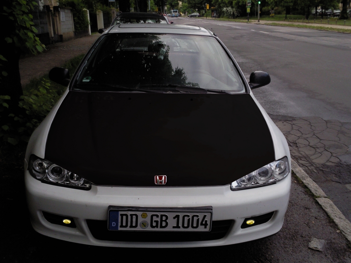 foto0157i.2.jpg